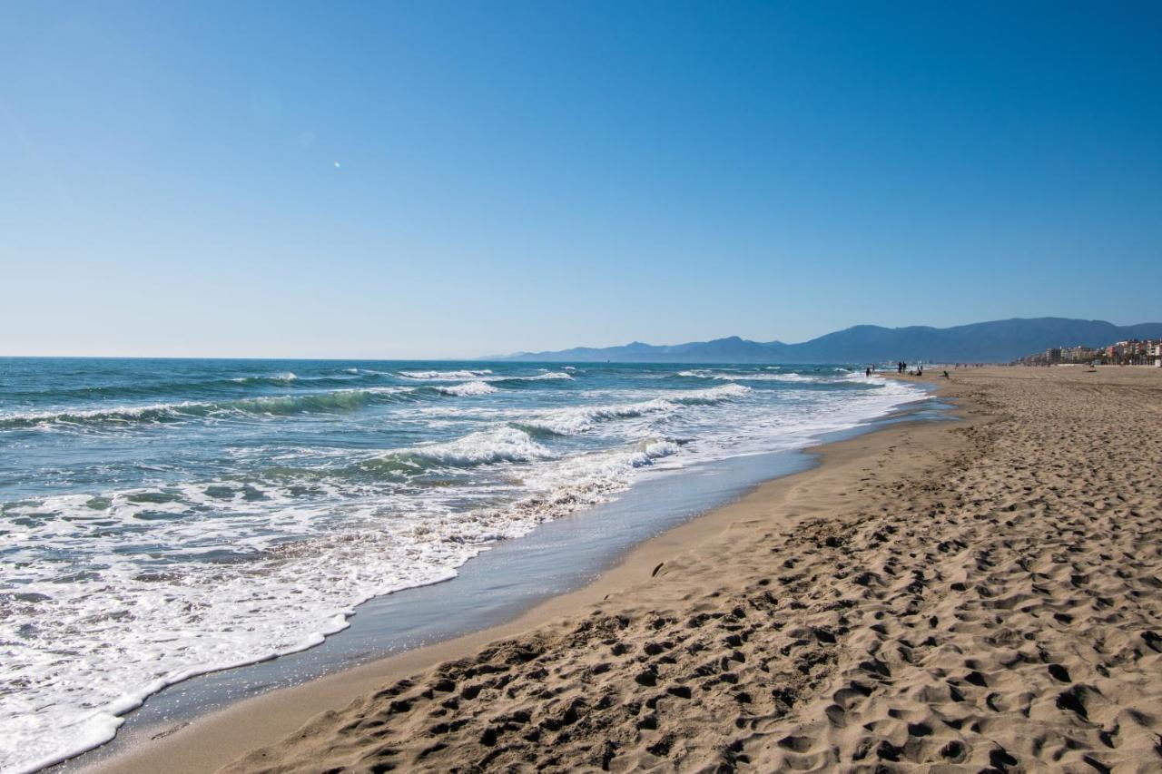 Beautiful Apartment 200M From Beach Canet-en-Roussillon Extérieur photo